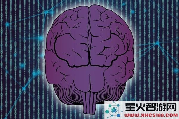 美国科学家创造活体计算机，利用8万鼠脑细胞展现超强智能